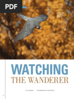Download Watching the Wanderer by Montana Quarterly SN290438666 doc pdf