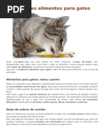 Melhores Alimentos Para Gatos