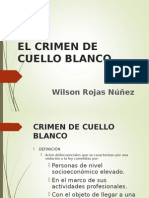 Crimen de Cuello Blanco Wilson Rojas Nuñez