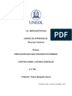 Ensayo Analisis de Puestos