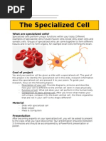 MYP Assessment Criterion A Cell Analogy | PDF