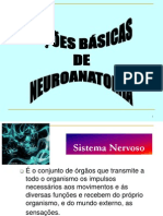 Introducao A Neuroanatomia