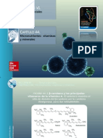 MICRONUTRIENTES. Vitaminas y Minerales