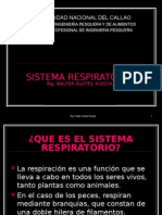 9 Sistema Respiratorio I