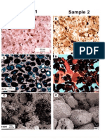 Limestone Petrography Sample