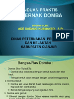 Materi Ternak Domba