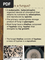 Classification of Fungi