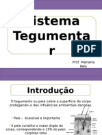 Aula 2 - Sistema Tegumentar