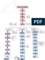 Diseño Experimental de La Chimbamngo