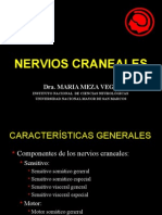 Nervios Craneales