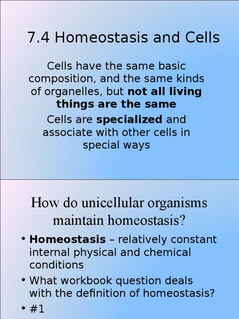 7 4 Homeostasis Cell Biology Organisms
