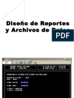 El Diseño de Reportes y Archivos de Datos