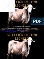 Seleccion Gyr Lechero