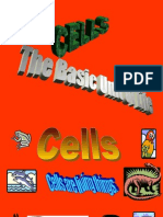 Cells the Basic Unit of Life