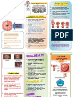 59532001 Leaflet Kanker Serviks