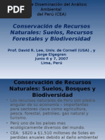 David_Lee_Recursos_Naturales.ppt
