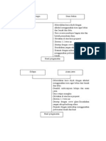 Skema Dan Diagram Alir Epidermis & Modivikasinya