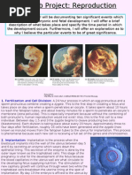 Download U4 - Lab Project Human Development by AmandaSherman SN2906128 doc pdf