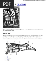 Download Meat Cuts and Grading by DocuReader SN29062100 doc pdf