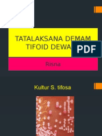 DEMAM TIFOID