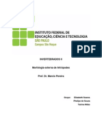 Invertebrados PDF