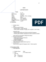 BAB 2 dermatitis seboroik fika