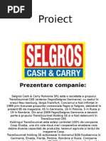 Selgros Proiect Alina 2