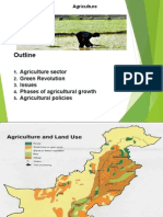 Outline: Agriculture Sector Green Revolution Issues Phases of Agricultural Growth Agricultural Policies