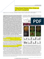 Vascularized and Functional Human Liver From an IPSC-Derived Organ Bud Transplant