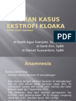 EKSTROFI KLOAKA