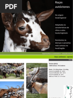 Caprinos e Ovinos - raças autóctones portuguesas