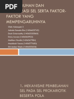 Download Pertumbuhan Dan Regenerasi Sel Serta Faktor-faktor Yang Mempengaruhinya by MauhibahYumna SN290652429 doc pdf