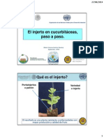El Injerto en Cucurbitaceas Paso A Paso (Huitron) PDF
