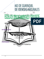 Informe de Campo Petrologia Metamorfica (4)