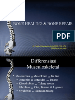 Bone Healing & Bone Repair: Dr. Charles A Simanjuntak, DR, Spot (K), Fics, MPD Fkik Universitas Jambi