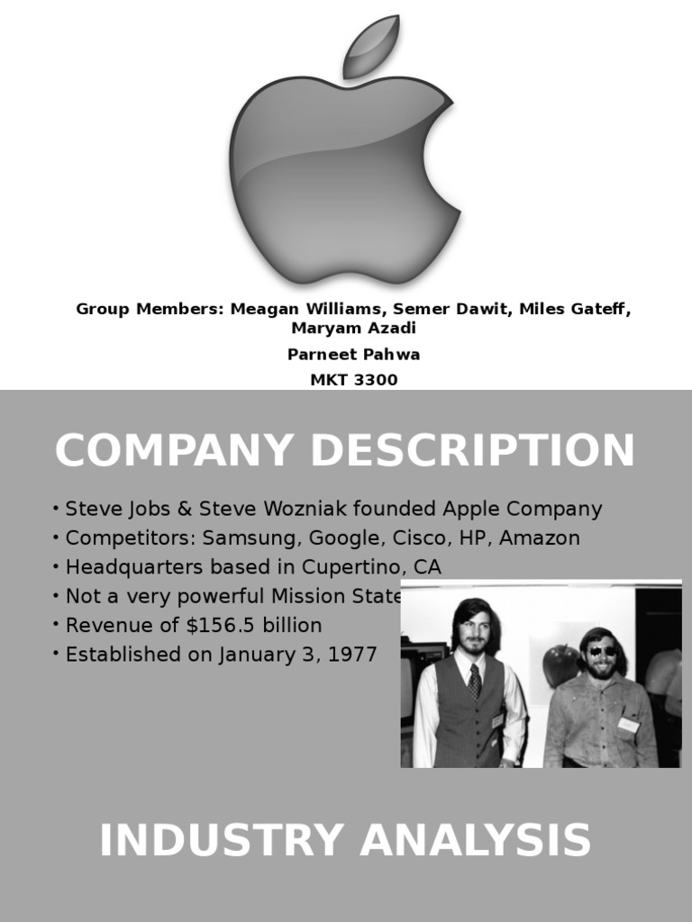 Apple Inc: Company Overview & Analysis | PDF | Apple Inc. | Retail
