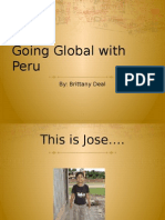 Perus Education System
