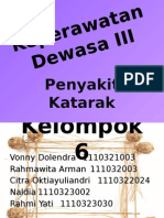 Kepdew 3 Katarak