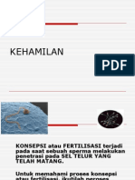 04 Proses Kehamilan Dan Laktasi