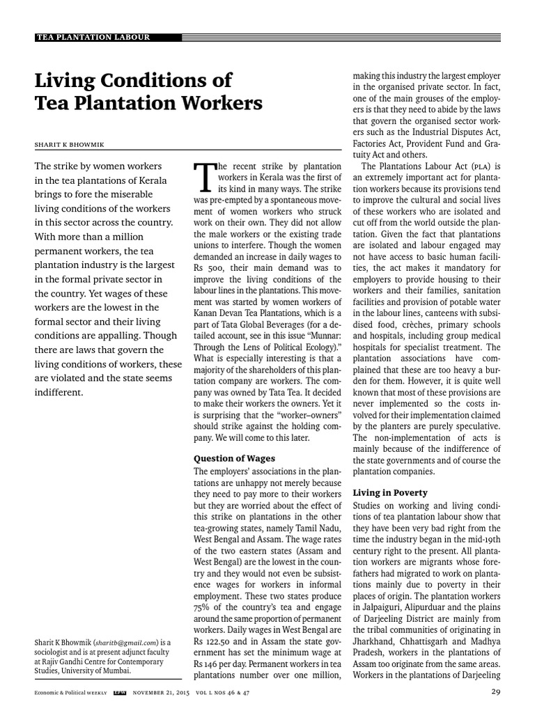 Living Conditions of Tea Workers in Assam | PDF | Economies | Business