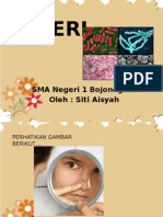 Bakteri: SMA Negeri 1 Bojonegoro Oleh: Siti Aisyah