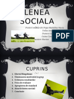 Lenea Sociala