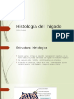Histología Del Hígado