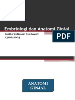 Embriologi Dan Anatomi Ginjal