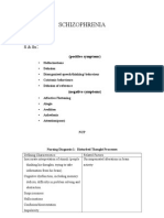 Nursing Care Plan For A Patient With Schizophrenia