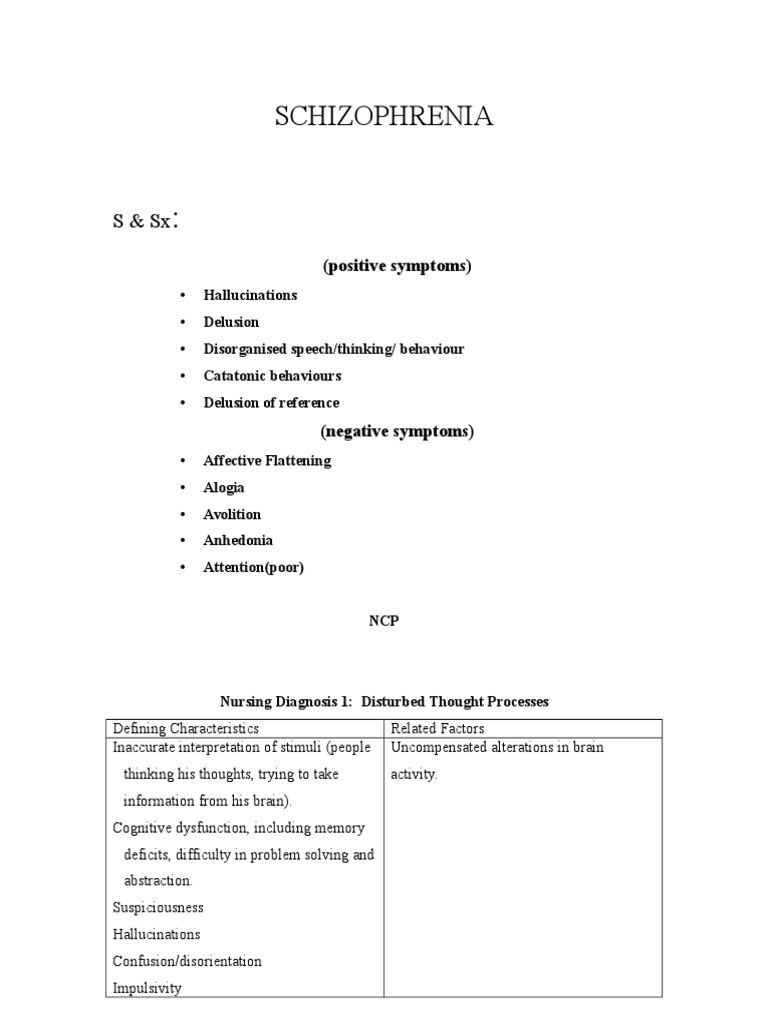 Nursing Care Plan For A Patient With Schizophrenia | PDF ...