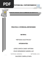 Medicion Del Potencial Espontaneo