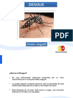 Dengue, CHIKUNGUNYA Y ZIKA