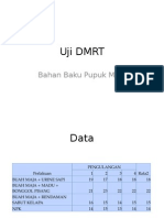 Uji DMRT