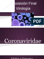 Coronaviridae, Rhabdoviridae, Arteriviridae y Bunyaviridae